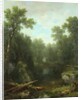 Chapel Pond Brook, Keene Flats, Adirondack Mountains, New York, 1871 by Asher Brown Durand