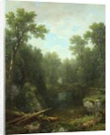 Chapel Pond Brook, Keene Flats, Adirondack Mountains, New York, 1871 by Asher Brown Durand