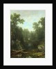 Chapel Pond Brook, Keene Flats, Adirondack Mountains, New York, 1871 by Asher Brown Durand