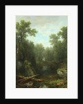 Chapel Pond Brook, Keene Flats, Adirondack Mountains, New York, 1871 by Asher Brown Durand
