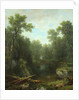 Chapel Pond Brook, Keene Flats, Adirondack Mountains, New York, 1871 by Asher Brown Durand