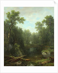 Chapel Pond Brook, Keene Flats, Adirondack Mountains, New York, 1871 by Asher Brown Durand
