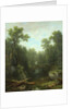 Chapel Pond Brook, Keene Flats, Adirondack Mountains, New York, 1871 by Asher Brown Durand