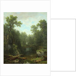 Chapel Pond Brook, Keene Flats, Adirondack Mountains, New York, 1871 by Asher Brown Durand