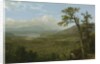 Adirondack Mountains, N.Y., 1870 by Asher Brown Durand