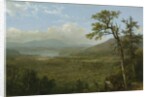 Adirondack Mountains, N.Y., 1870 by Asher Brown Durand
