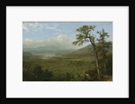 Adirondack Mountains, N.Y., 1870 by Asher Brown Durand