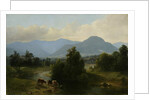 View of the Shandaken Mountains, New York, 1853 by Asher Brown Durand