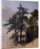 Tree Study, Newburgh, N.Y., 1849 by Asher Brown Durand