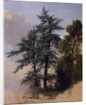 Tree Study, Newburgh, N.Y., 1849 by Asher Brown Durand