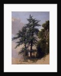 Tree Study, Newburgh, N.Y., 1849 by Asher Brown Durand