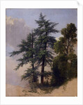 Tree Study, Newburgh, N.Y., 1849 by Asher Brown Durand