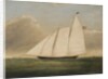 Yacht 'America', 1851 by American School