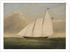 Yacht 'America', 1851 by American School