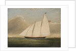Yacht 'America', 1851 by American School