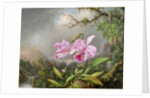 Study of an Orchid, 1872 by Martin Johnson Heade