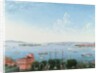View of New York Harbour from Brooklyn Heights, c.1860 by American School
