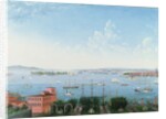 View of New York Harbour from Brooklyn Heights, c.1860 by American School