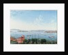 View of New York Harbour from Brooklyn Heights, c.1860 by American School