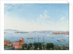 View of New York Harbour from Brooklyn Heights, c.1860 by American School