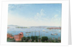 View of New York Harbour from Brooklyn Heights, c.1860 by American School