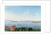 View of New York Harbour from Brooklyn Heights, c.1860 by American School