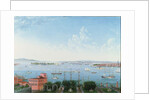View of New York Harbour from Brooklyn Heights, c.1860 by American School