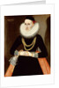 Portrait of a Young Lady, 1608 by German School