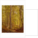 June Woods, Pennsylvania, 1864 by William Trost Richards