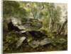 Study from Nature: Rocks and Trees, c.1856 by Asher Brown Durand