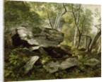 Study from Nature: Rocks and Trees, c.1856 by Asher Brown Durand