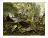 Study from Nature: Rocks and Trees, c.1856 by Asher Brown Durand