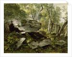 Study from Nature: Rocks and Trees, c.1856 by Asher Brown Durand