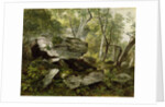 Study from Nature: Rocks and Trees, c.1856 by Asher Brown Durand