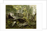 Study from Nature: Rocks and Trees, c.1856 by Asher Brown Durand