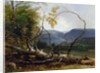 Study from Nature, Stratton Notch, Vermont, 1853 by Asher Brown Durand
