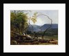 Study from Nature, Stratton Notch, Vermont, 1853 by Asher Brown Durand