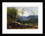 Study from Nature, Stratton Notch, Vermont, 1853 by Asher Brown Durand