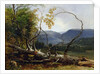 Study from Nature, Stratton Notch, Vermont, 1853 by Asher Brown Durand