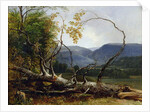 Study from Nature, Stratton Notch, Vermont, 1853 by Asher Brown Durand