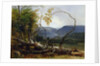 Study from Nature, Stratton Notch, Vermont, 1853 by Asher Brown Durand