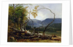 Study from Nature, Stratton Notch, Vermont, 1853 by Asher Brown Durand