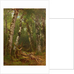 Group of Trees, 1855-77 by Asher Brown Durand