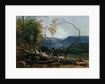 Stratton Notch, Vermont, 1853 by Asher Brown Durand