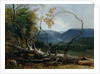Stratton Notch, Vermont, 1853 by Asher Brown Durand