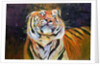 Tiger 1996 by Odile Kidd