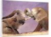 Elephants at Play, 2001 by Odile Kidd