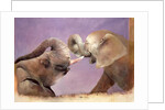 Elephants at Play, 2001 by Odile Kidd