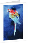 Red and Blue Macaw, 2002 by Odile Kidd