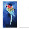 Red and Blue Macaw, 2002 by Odile Kidd